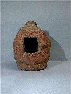 8893.jpg