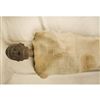 EM-S1-RAMSSES-V-S-MUMMY-10209-2_800x800.jpg