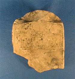 BrE.2396.jpg