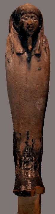 E144.jpg