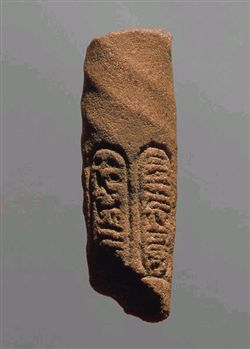 5130.JPG